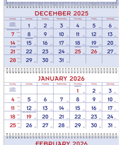 Red & Blue Commercial Planner