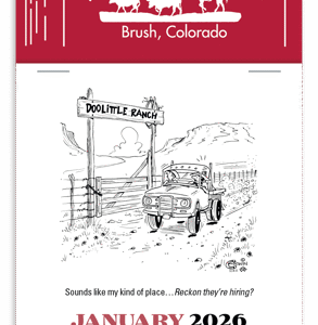 Press-N-Stick Calendar - Cowboys