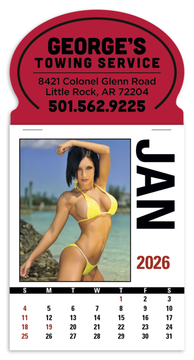 Press-N-Stick Calendar - Sunshine Girls